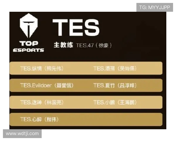 王者荣耀心理素质榜单揭晓TES战队荣登第二名引发热议